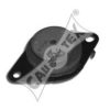 CAUTEX 021058 Engine Mounting